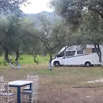 Gold Camping & Caravan Park