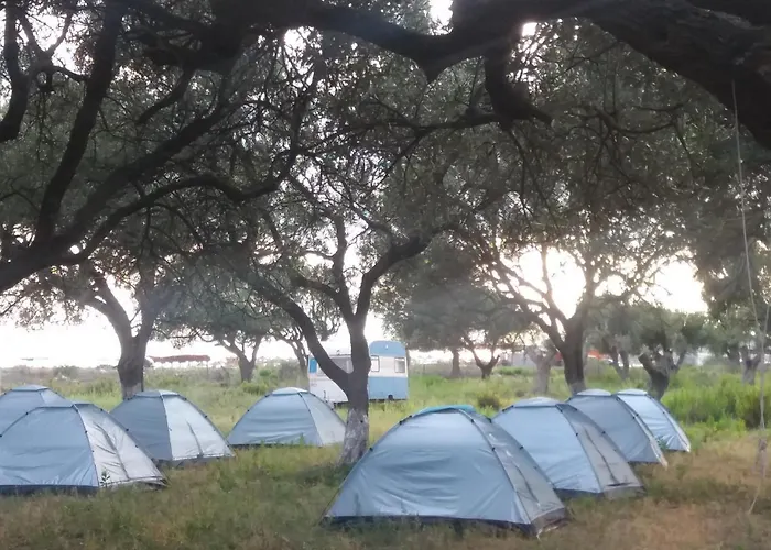 Gold Camping & Caravan Park