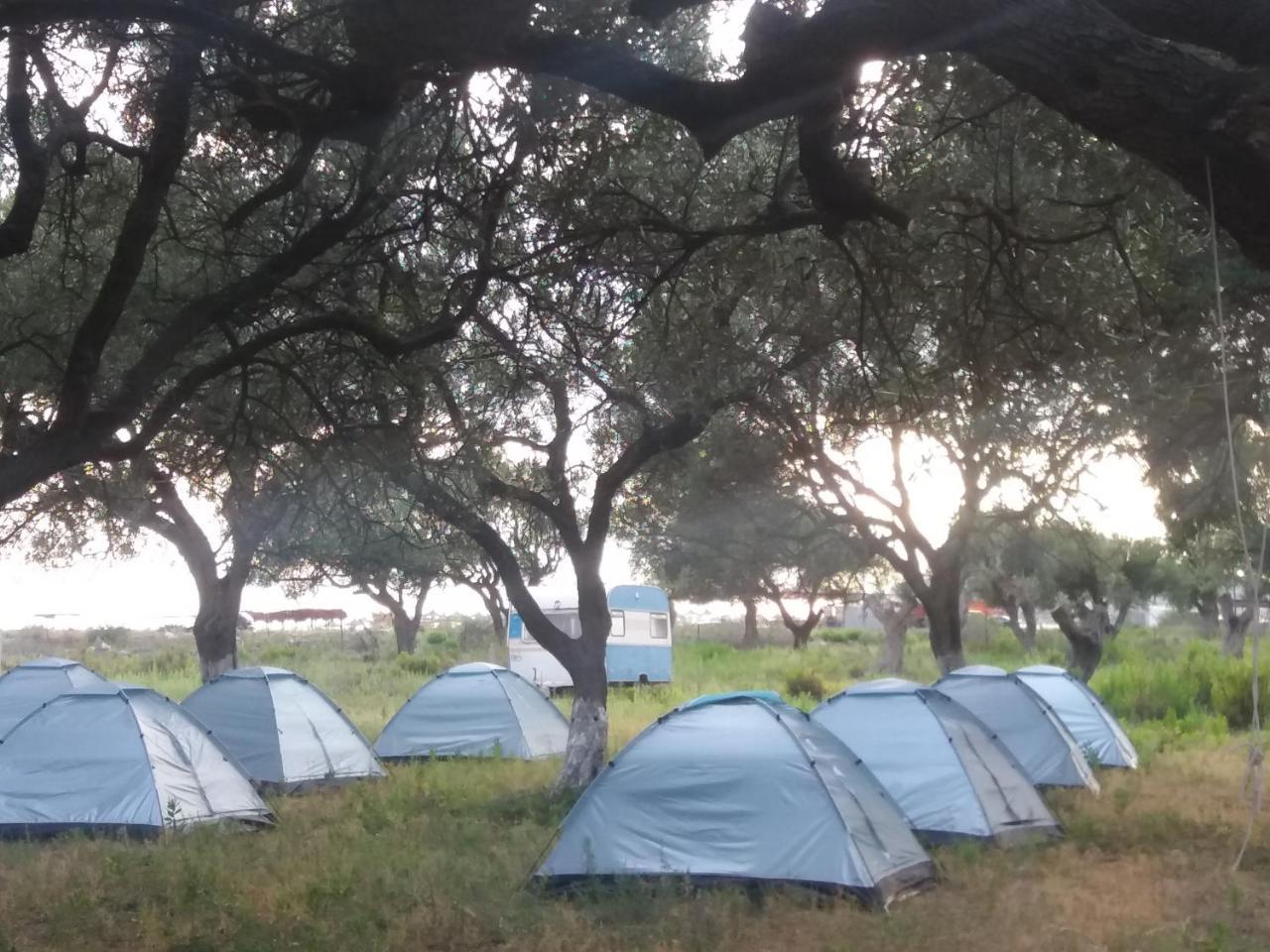 Gold Camping & Caravan Park